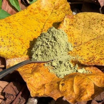 Kratom Ban Reversed in Monroe County 1 Kratom Ban Reversed in Monroe County