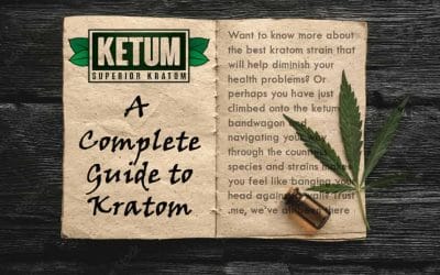 Kratom Guide