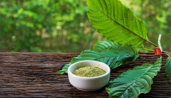 Kratom Guide – Ready to Start Kratom?