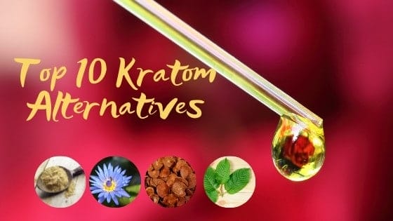 10 Best Kratom Alternatives You Might Not Know 1 Kratom Alternatives