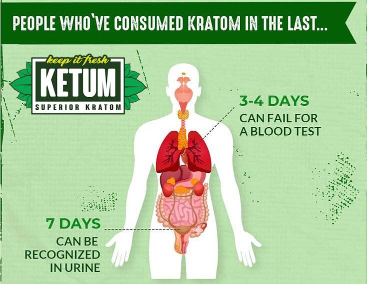 Does Kratom Show Up In Drug Tests