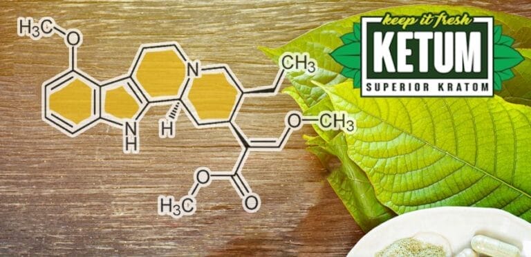 7 Fascinating Facts About the History of Kratom