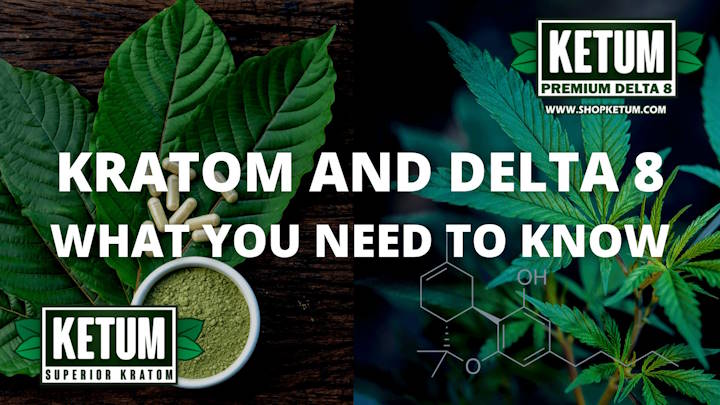 Can you Mix Kratom & Cannabis? Benefits of Kratom + Delta 8