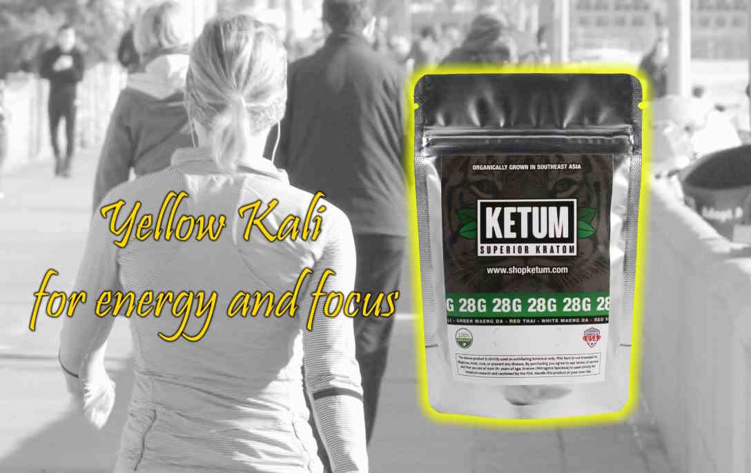 Guide to Yellow Kratom